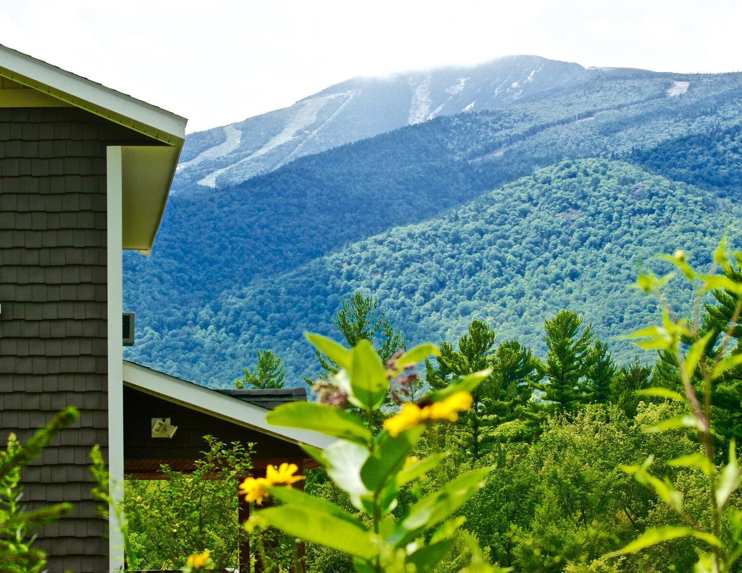 Lookout Mountain Chalet Villa Wilmington Buitenkant foto